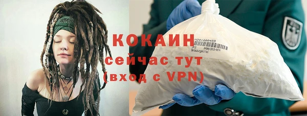 кокс Арсеньев
