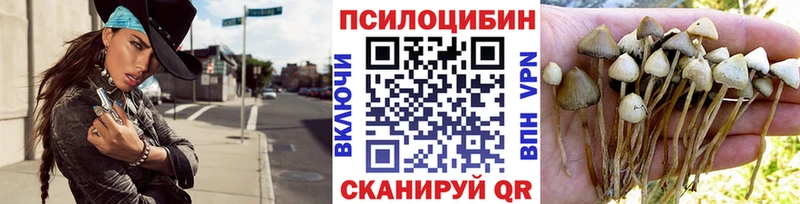 Псилоцибиновые грибы мицелий  hydra рабочий сайт  Учалы  магазин продажи наркотиков 